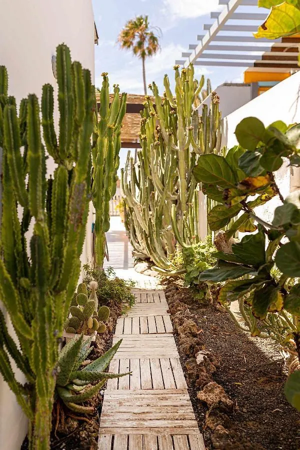 Apartmán El Piloto Casa Canaria By Chic Fuerteventura Corralejo Ubytování v soukromí